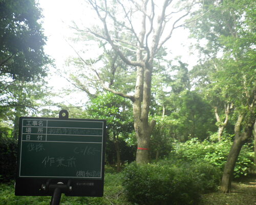 RIMG0151