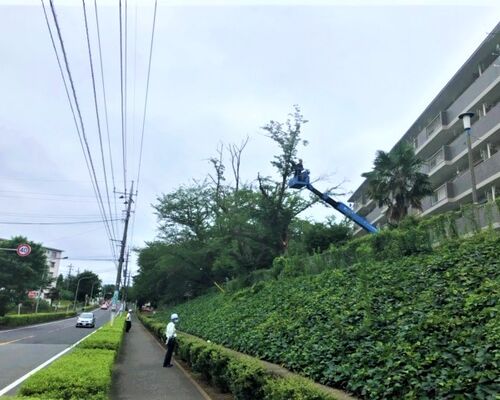 小金原団地1