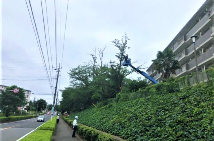 小金原団地1
