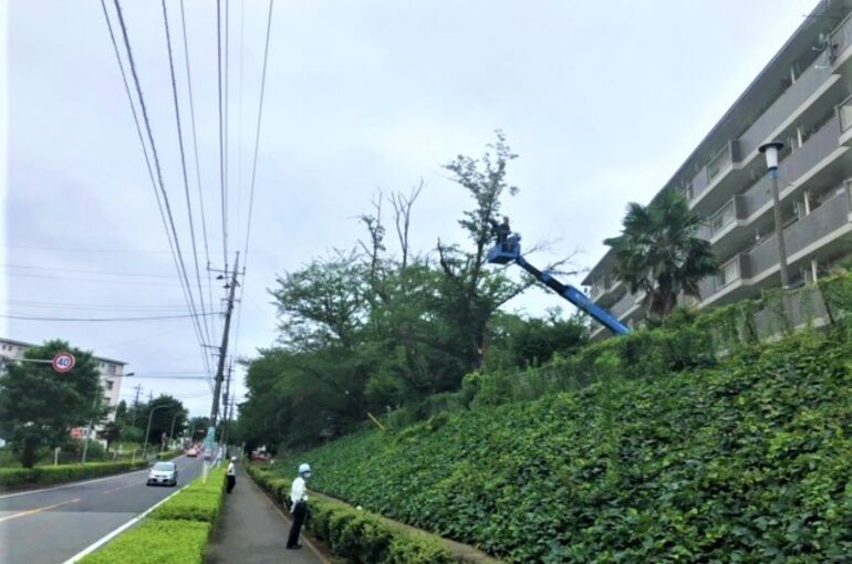 小金原団地1