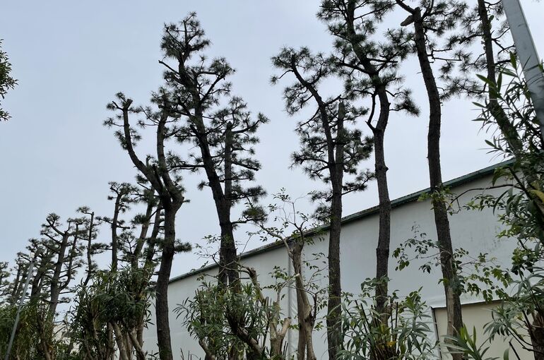 48C8E80C-9BBA-471E-BFA6-EDF67C6D2244