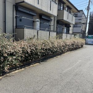 113FACEA-AD5F-469F-A512-0A60E8B7E604