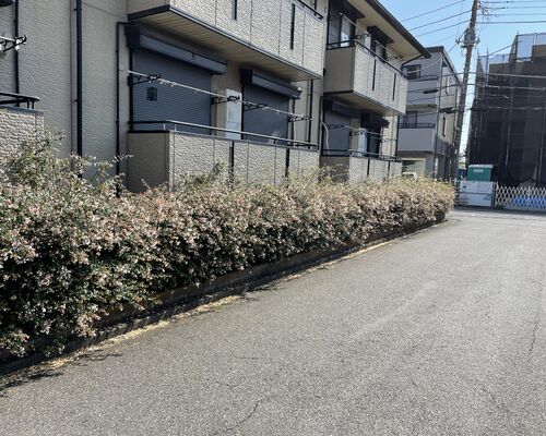 113FACEA-AD5F-469F-A512-0A60E8B7E604