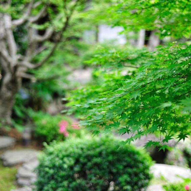 造園7