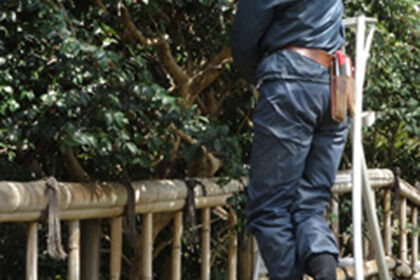 植木の手入れ